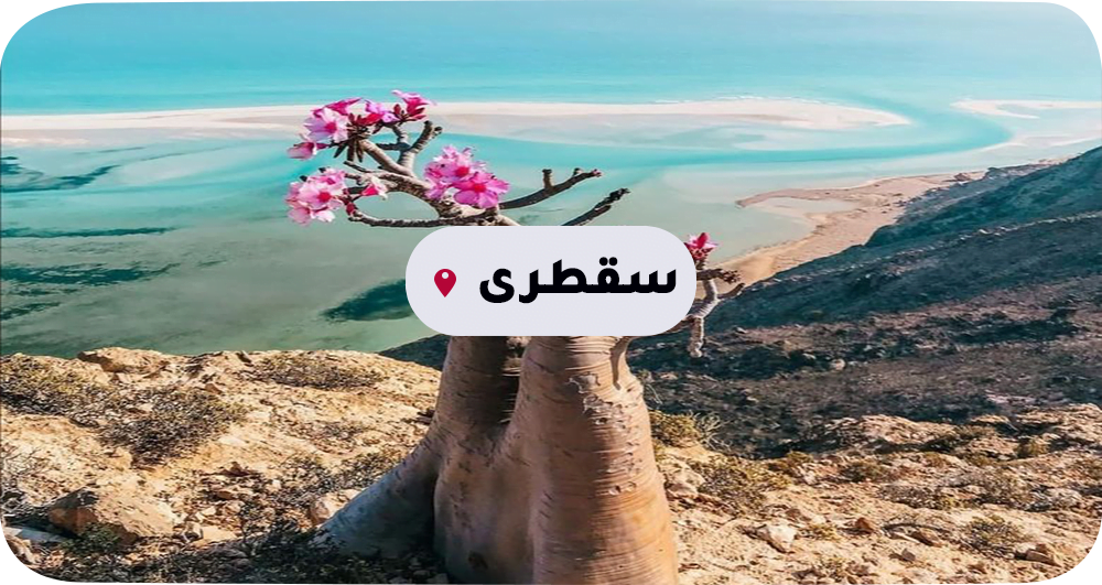 سقطرى