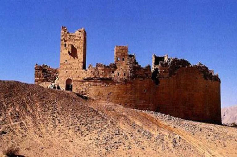 Unnamed file 8 1 768x511