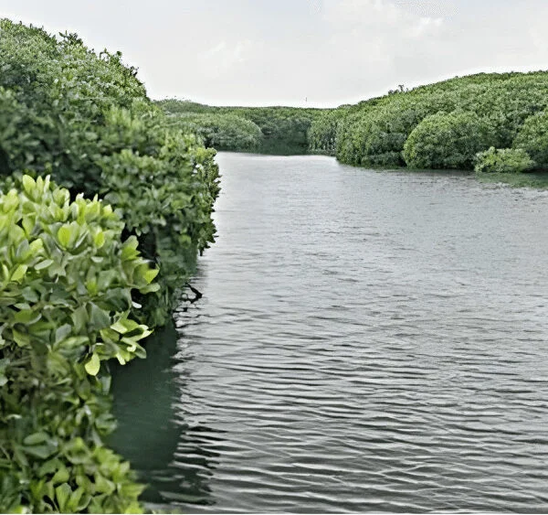Capture decran 2022 01 21 a 09 27 17 1 600x563