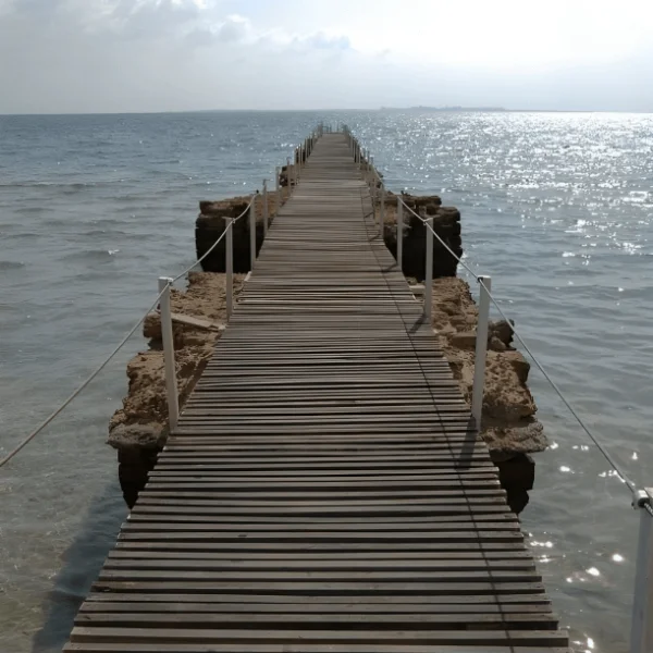 FDgUoVuXIAUFE1P 1 600x600