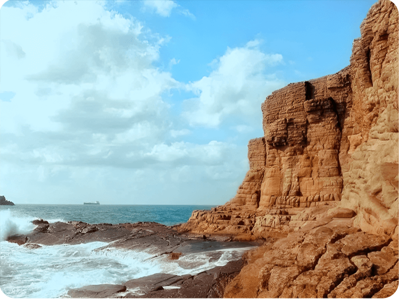 الجزر-البربرية (1)