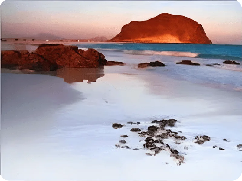 الجزر-البيضاء (1) الجزر-البيضاء (1)