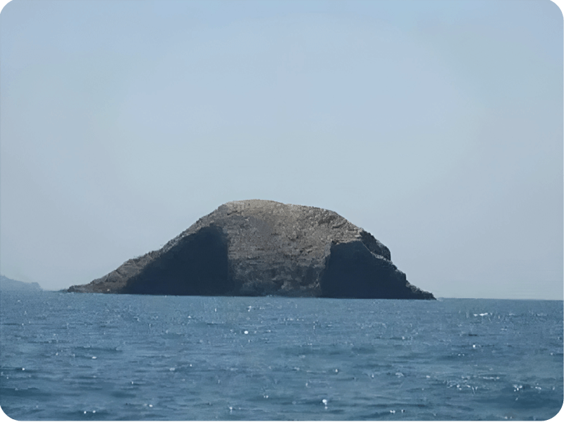 الجزر-الحجب (1)