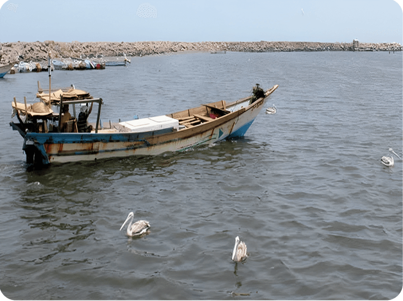 الجزر-الرافع (1)