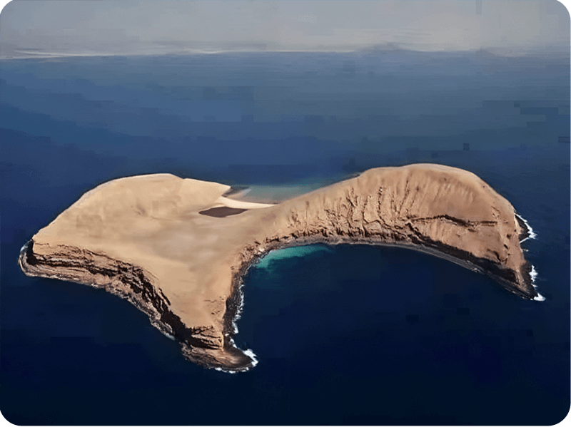 الجزر-الغضرين (1)