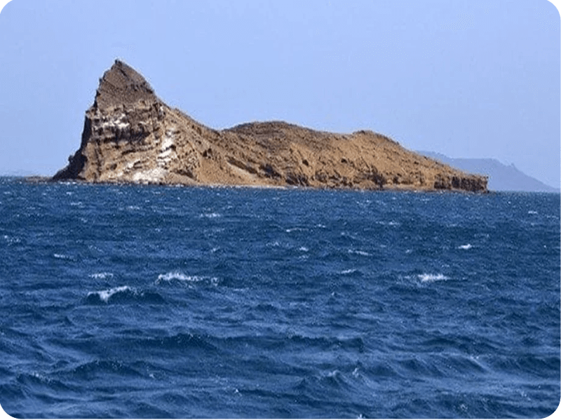 الجزر-حنيش الصغرى (1)