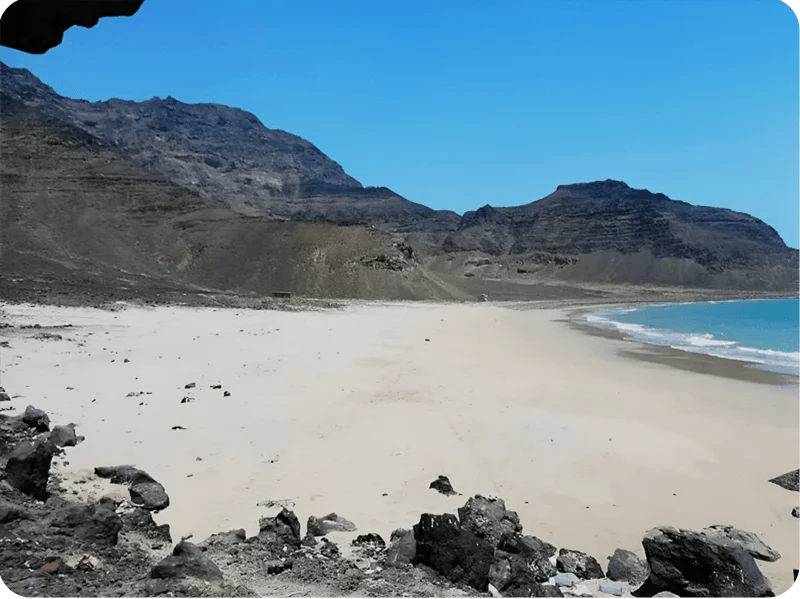 الجزر-دنافة (1) الجزر-دنافة (1)
