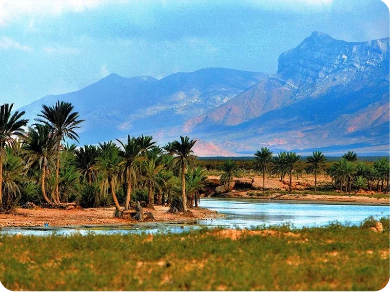 الجزر سقطرى