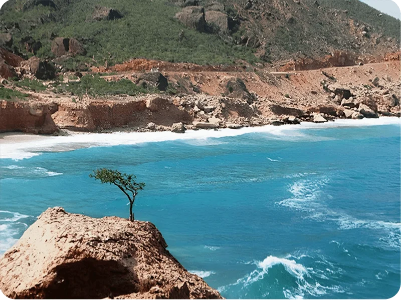 الجزر – سيول حنيش (1) الجزر - سيول حنيش (1)