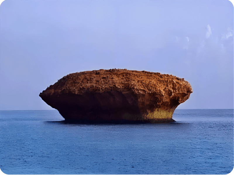 الجزر-عقبان الصغرى (1)