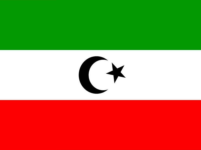 المهرة علم (1)
