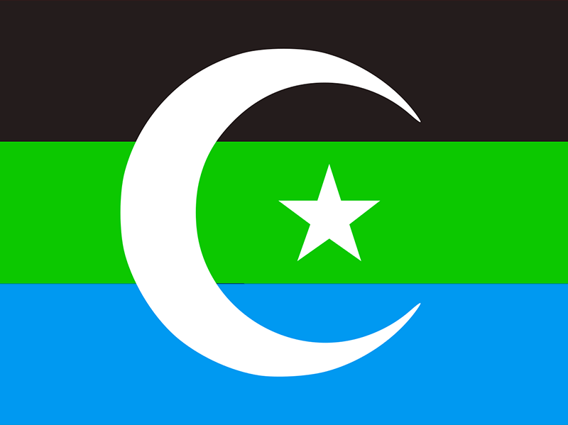 سلطنة الفضلي (1)