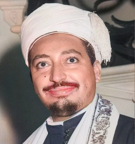 محمد البدر cleanup